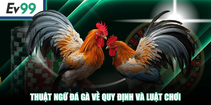Thuật ngữ đá gà về quy định và luật chơi